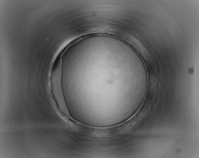 X0000101690788200807241408