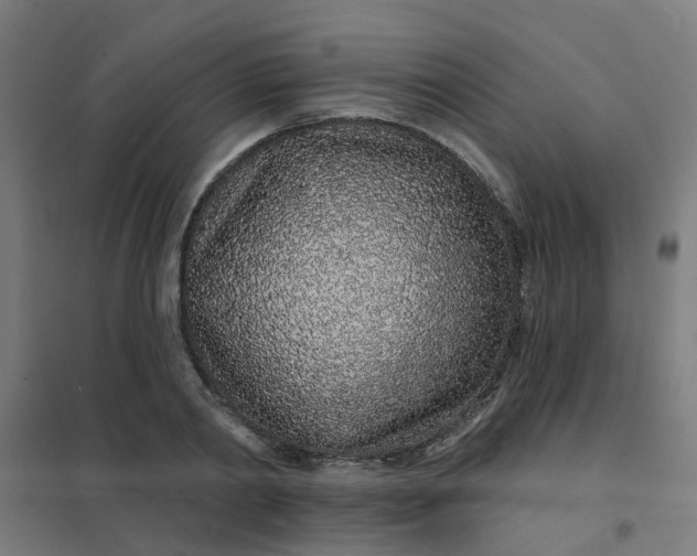 X0000101690790200807241408