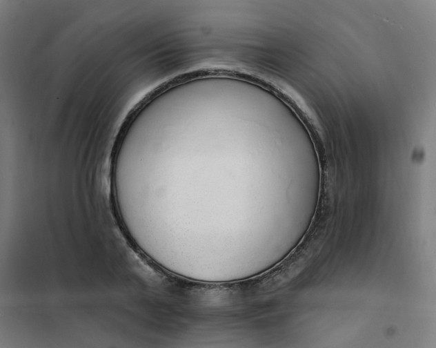 X0000101690791200807241408