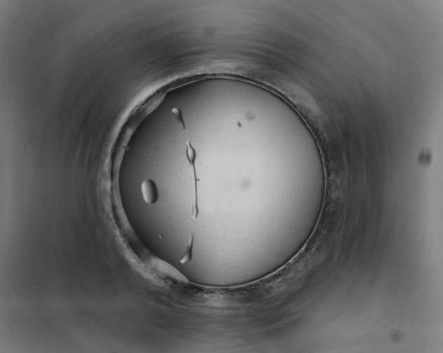 X0000101690792200807241408