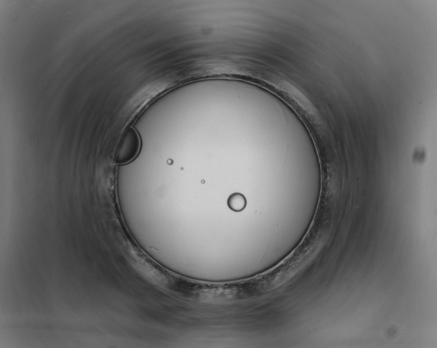 X0000101690793200807241408