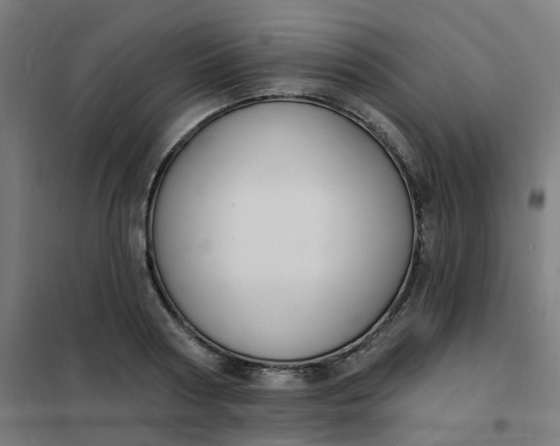 X0000101690794200807241408