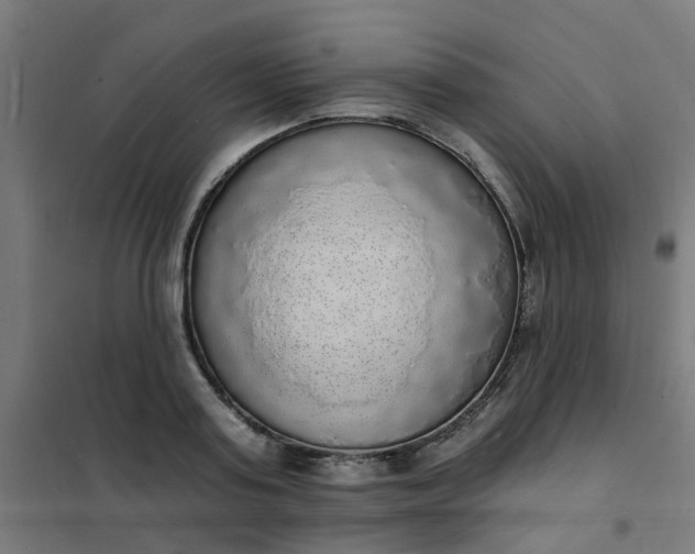 X0000101690795200807241408