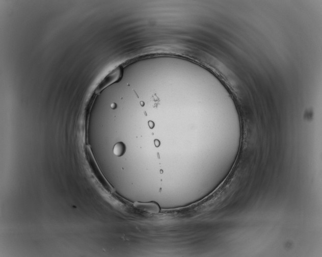 X0000101690796200807241408