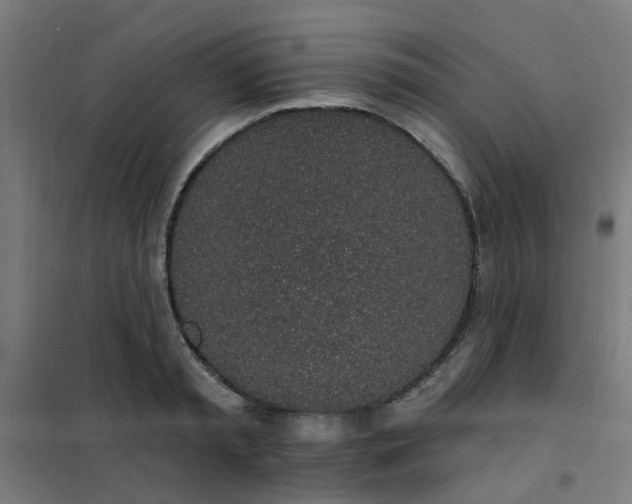 X0000101690797200807241408