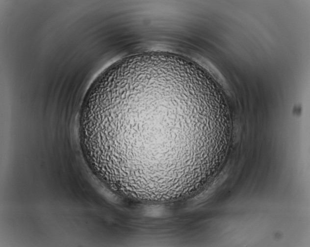 X0000101690798200807241408