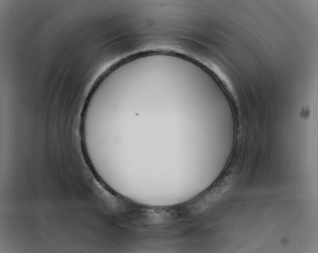 X0000101690799200807241408