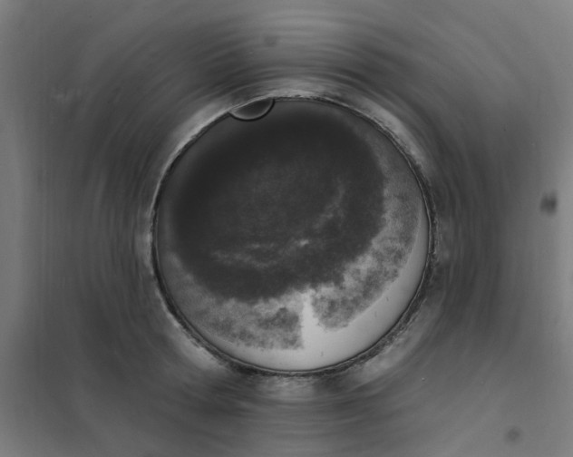 X0000101690802200807241408