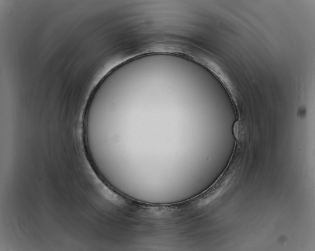 X0000101690803200807241408