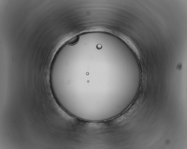 X0000101690805200807241408