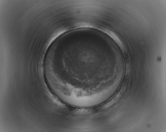 X0000101690806200807241408