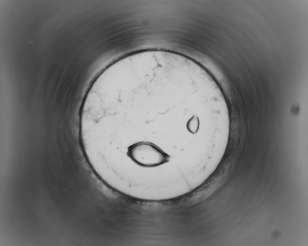 X0000101690807200807241408