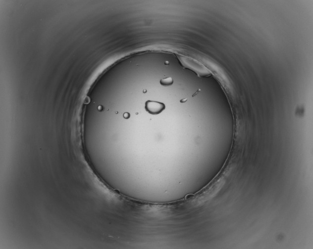 X0000101690808200807241408