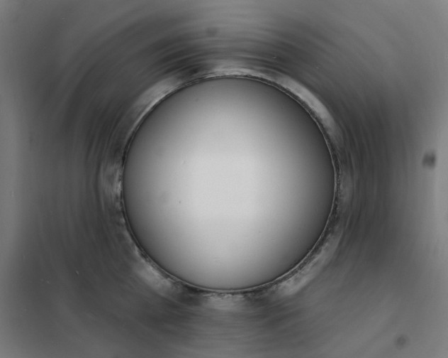 X0000101690809200807241408