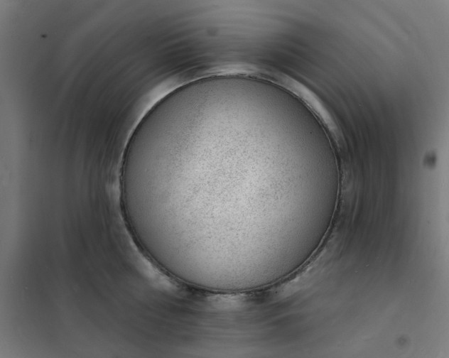 X0000101690810200807241408