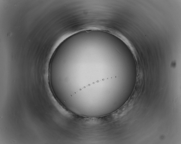 X0000101690811200807241408