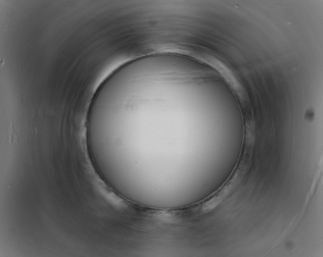 X0000101690814200807241407