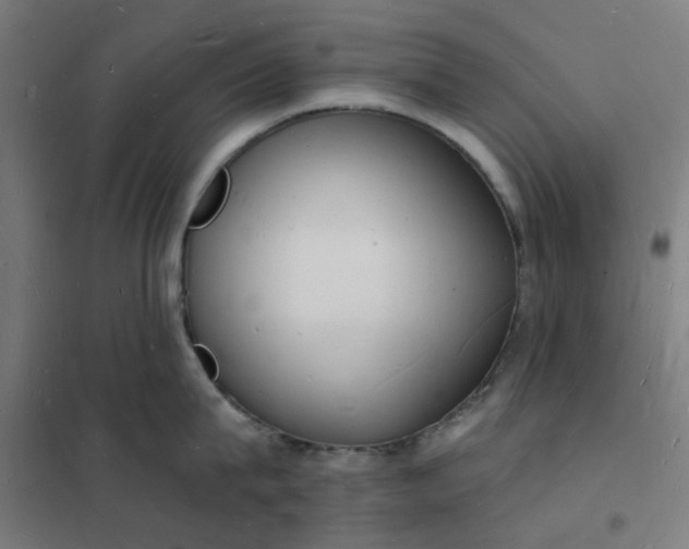 X0000101690815200807241407