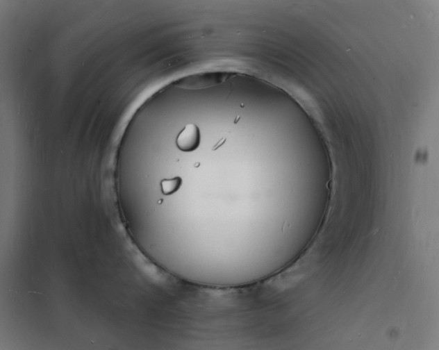 X0000101690816200807241407