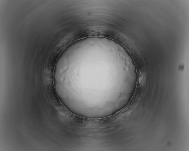 X0000101690819200807241407