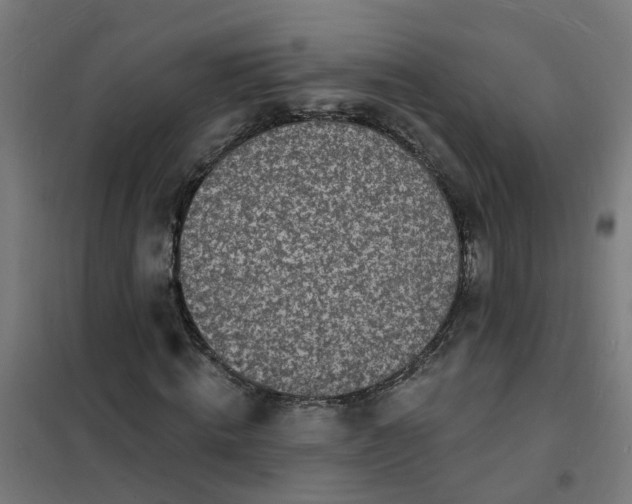 X0000101690820200807241407