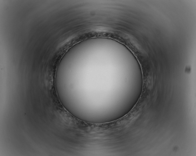 X0000101690821200807241407