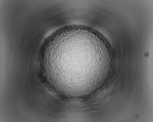 X0000101690823200807241407