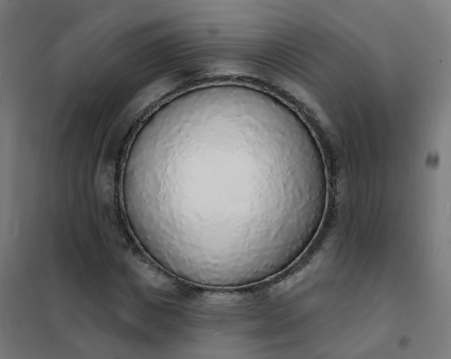 X0000101690825200807241407