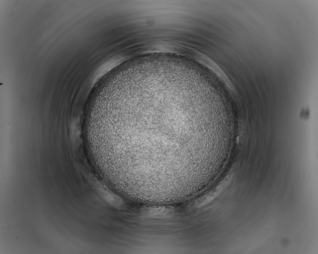 X0000101690826200807241407