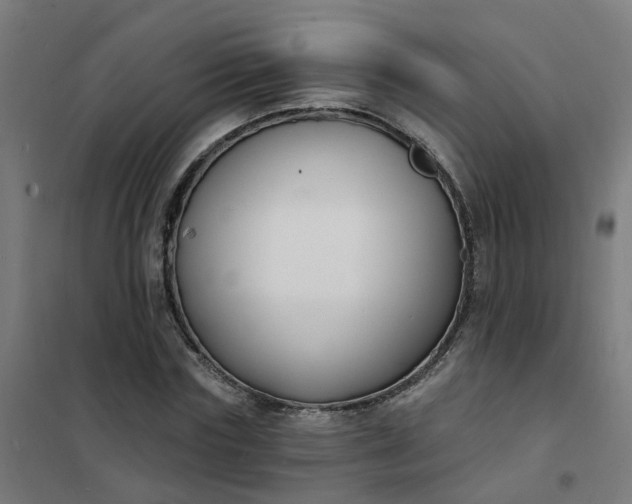 X0000101690827200807241407