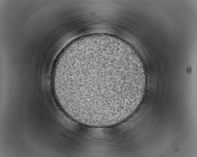 X0000101690828200807241407