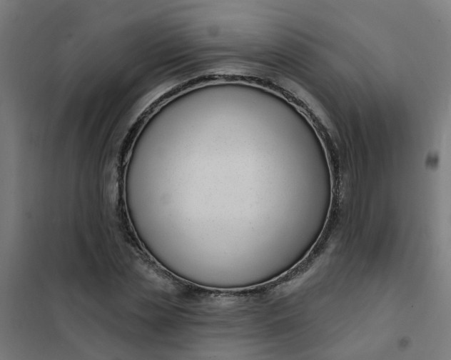 X0000101690829200807241407