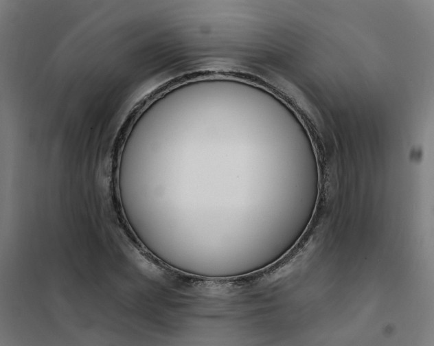 X0000101690831200807241407