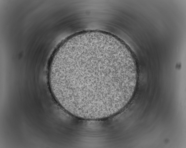 X0000101690832200807241407