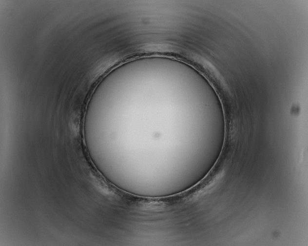 X0000101690833200807241407