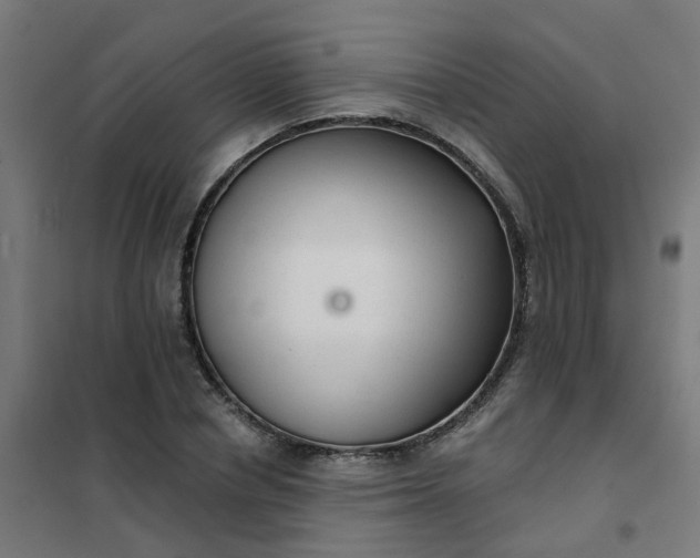 X0000101690834200807241407