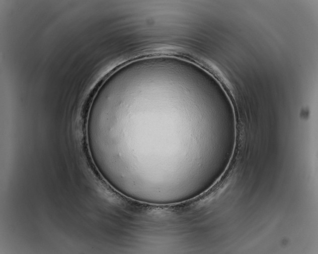 X0000101690835200807241407