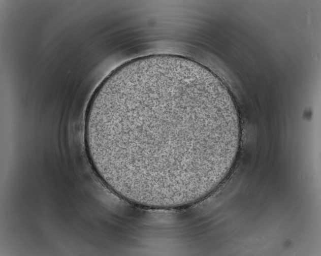 X0000101690836200807241407