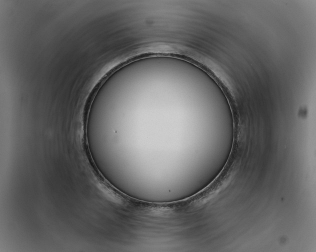 X0000101690837200807241407