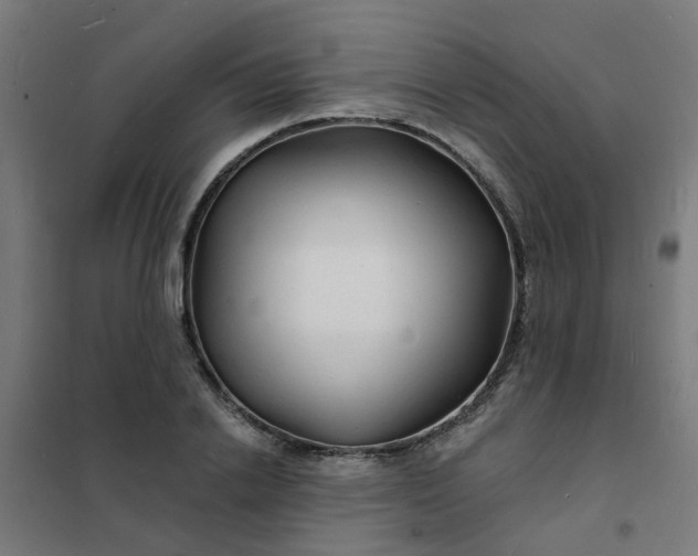 X0000101690838200807241407