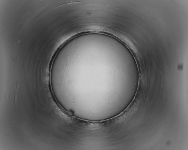 X0000101690839200807241407