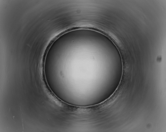 X0000101690840200807241407