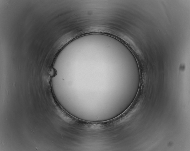 X0000101690841200807241407