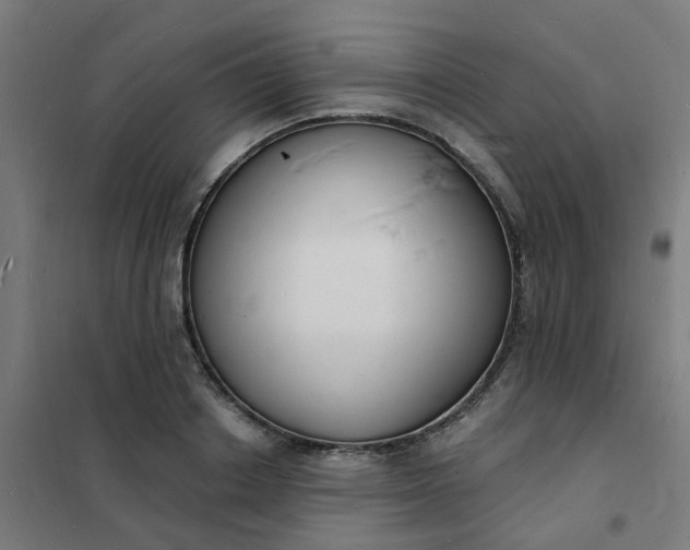 X0000101690842200807241407