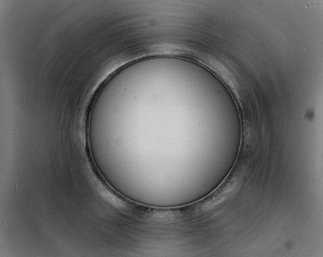 X0000101690843200807241407