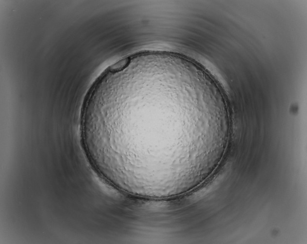 X0000101690845200807241407