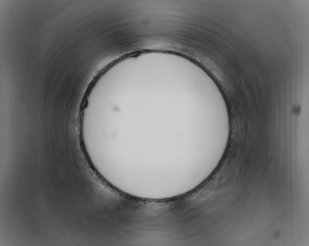 X0000101690848200807241407