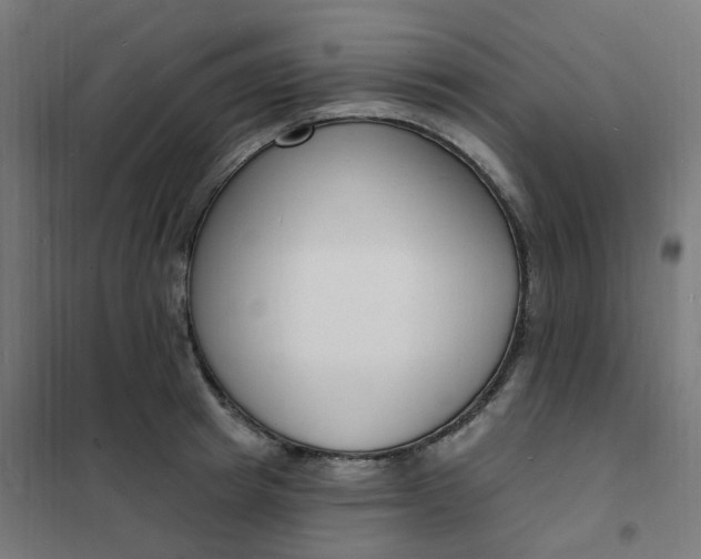 X0000101690849200807241407