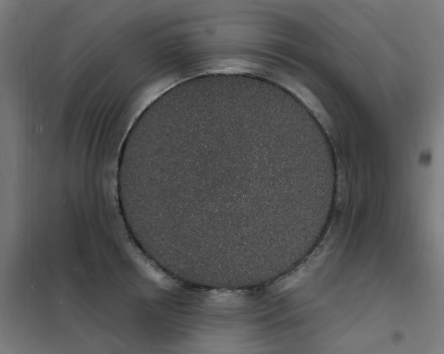 X0000101690850200807241407