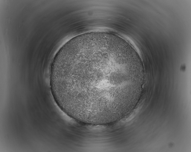 X0000101690851200807241407